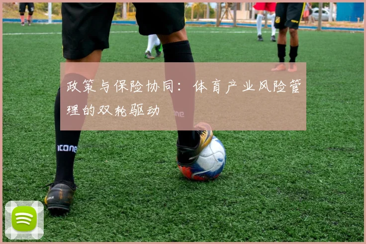 政策与保险协同：体育产业风险管理的双轮驱动