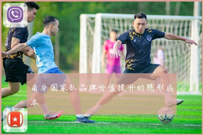 南非国家队品牌价值提升的隐形成本