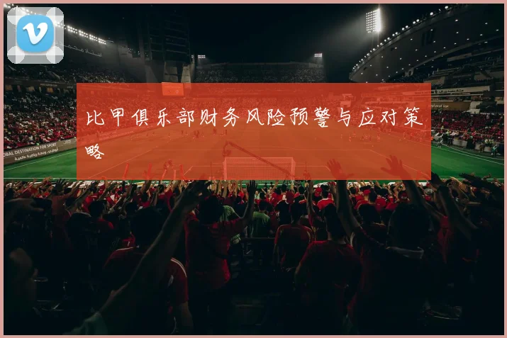 比甲俱乐部财务风险预警与应对策略