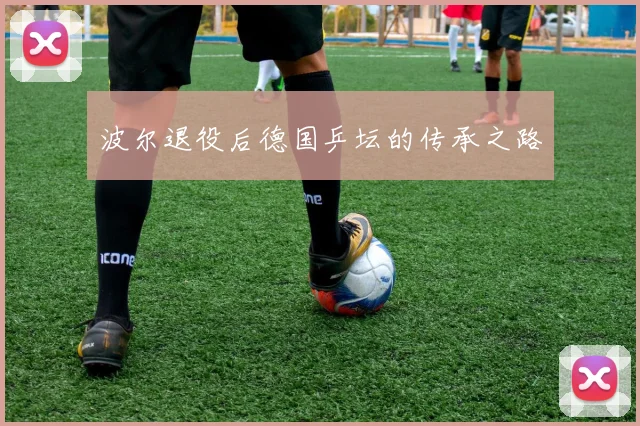 波尔退役后德国乒坛的传承之路