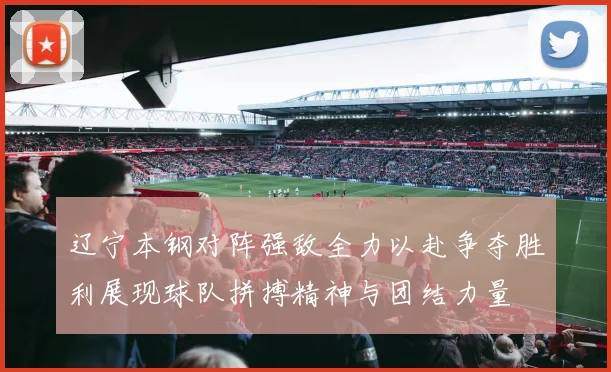 辽宁本钢对阵强敌全力以赴争夺胜利展现球队拼搏精神与团结力量